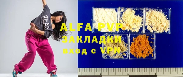 сатива Покачи