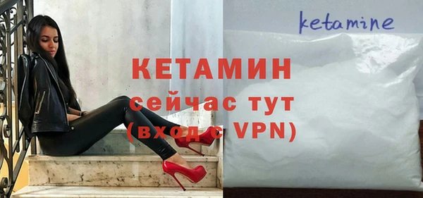сатива Покачи