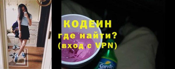 сатива Покачи