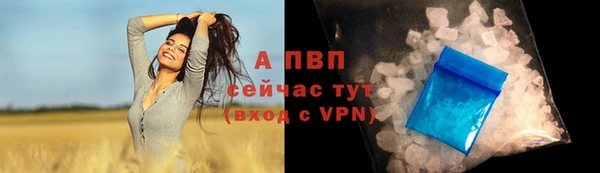 стаф Покров