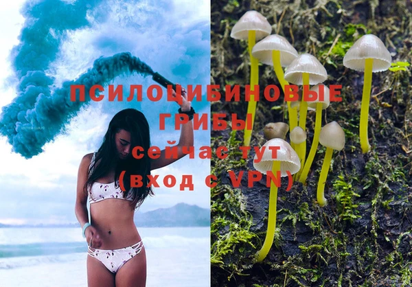 стаф Покров