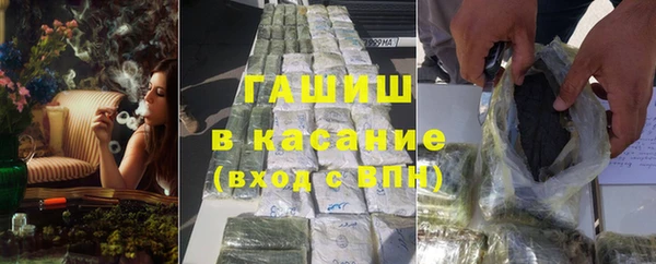 сатива Покачи