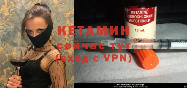 сатива Покачи