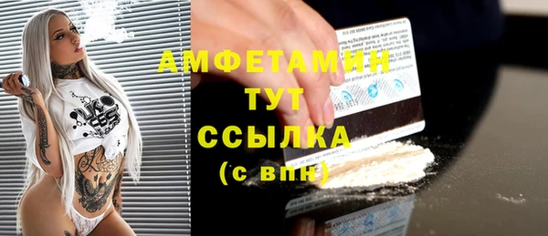 сатива Покачи