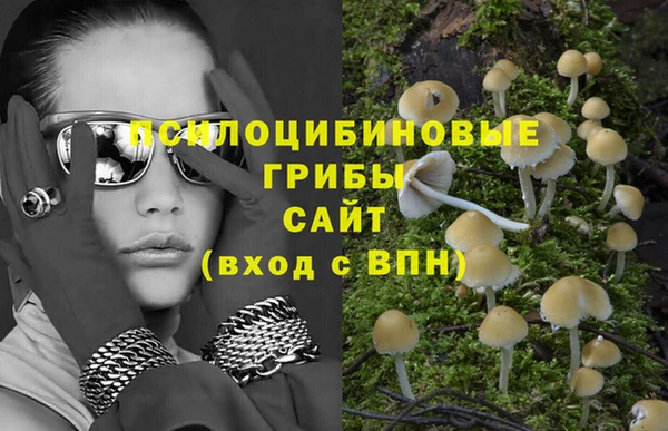 a pvp Покровск